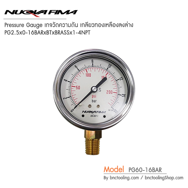 Nuova Fima,Pressure Gauge เกจวัดความดัน เกลียวทองเหลืองลงล่าง,PG60-16BAR