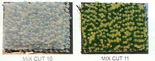 พรมสั่งทอ พรมอะคิลิค รุ่น ACRYLIC 47 Mix Cut