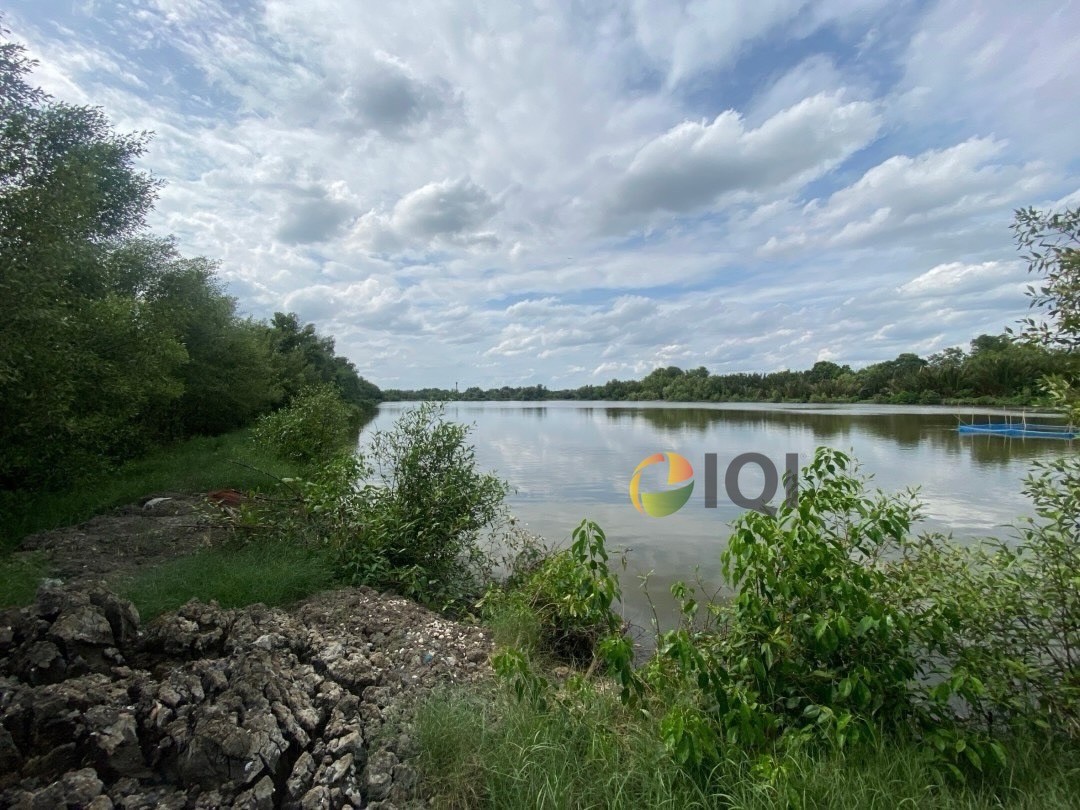 ขายที่ดินเปล่า เนื้อที่ 23 ไร่ 3 งาน 81 ตารางวา ตำบลบ้านคลองสวน อำเภอพระสมุทรเจดีย์