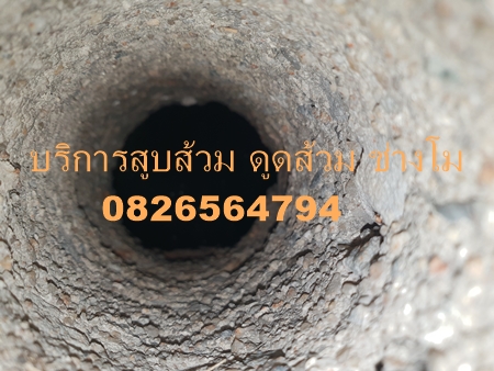 บางตีนเป็ด