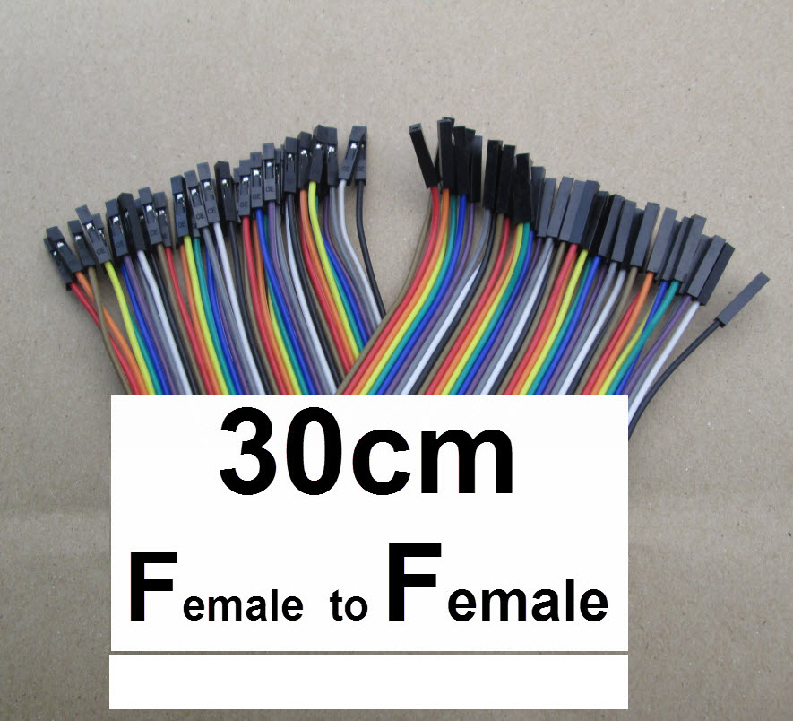 (30CM) 40 pin to 40 pin Female-Female (2.54mm)