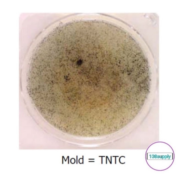 ชุดตรวจยีสต์และเชื้อราในอากาศ “Compact Dry YM” จำนวน 20 ทดสอบ / กล่อง