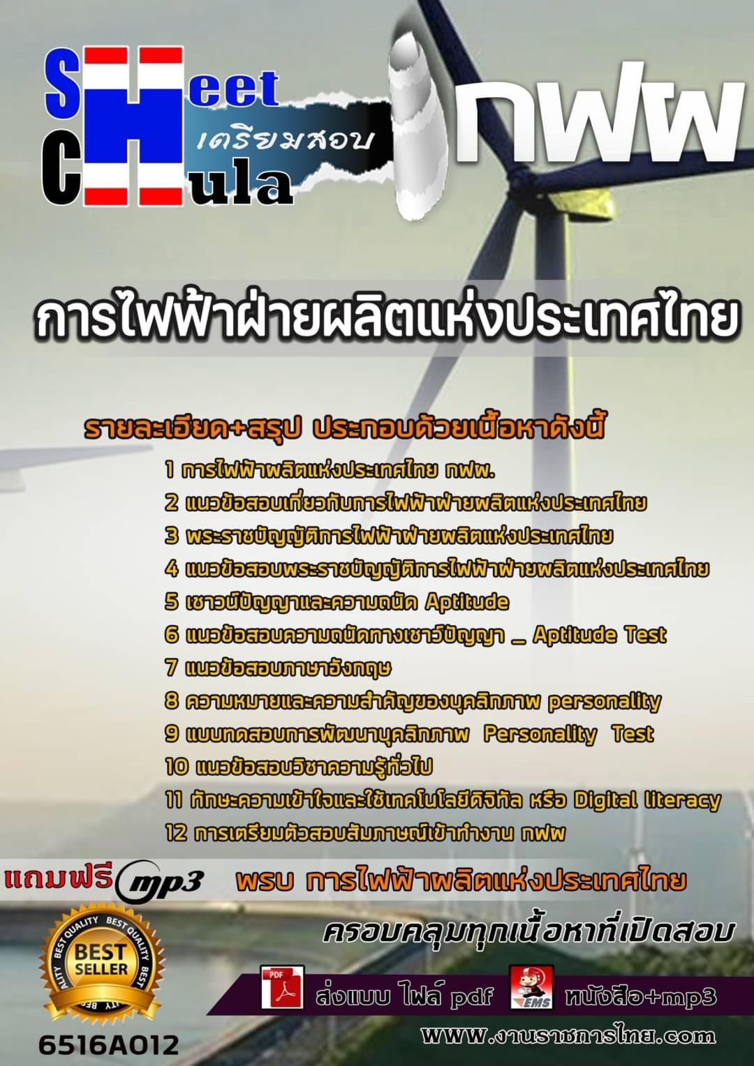 เเนวข้อสอบ กฟผ. (การไฟฟ้าฝ่ายผลิตแห่งประเทศไทย)2565
