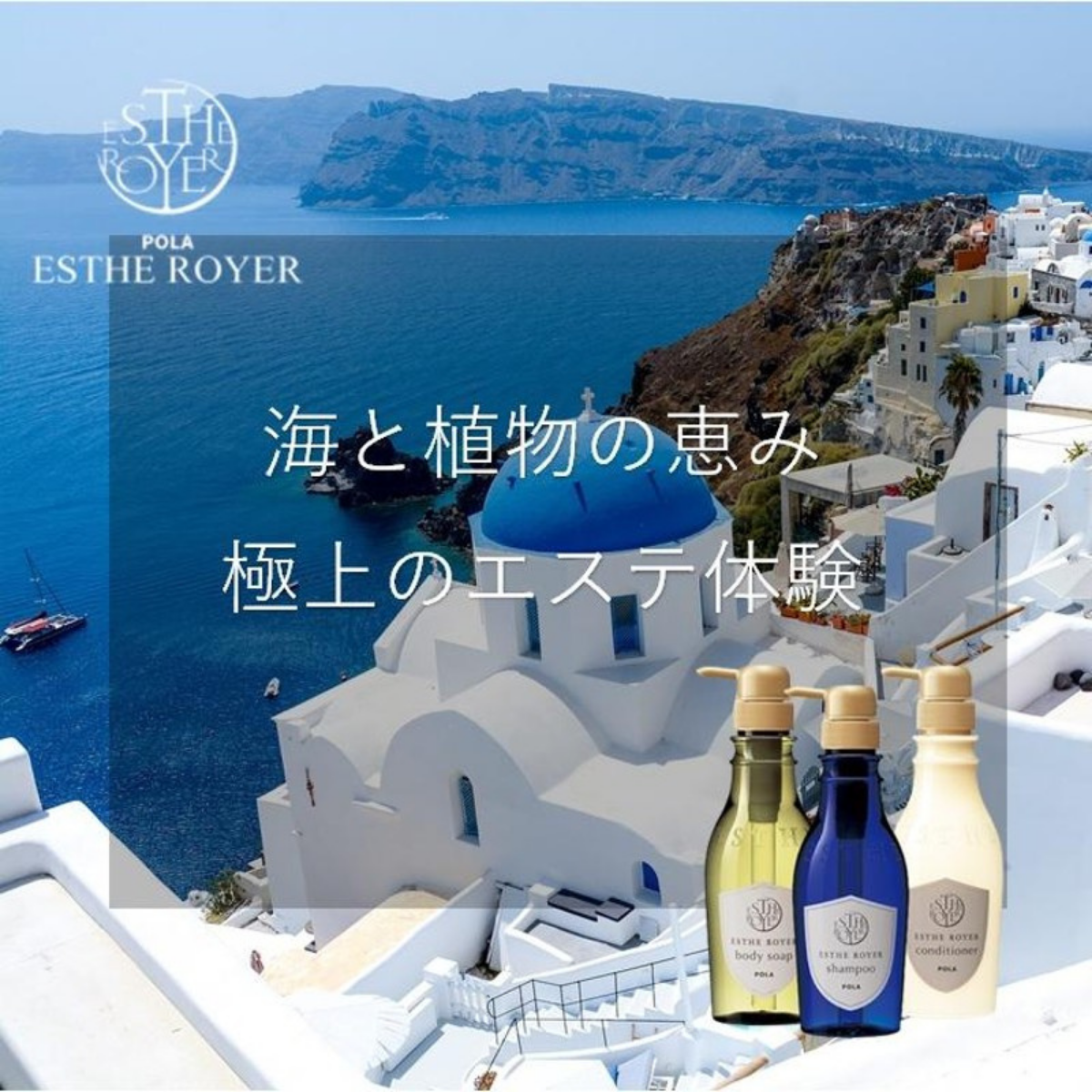 Pola Esthe Royer สุดยอดแชมพู ครีมนวดผม สบู่เหลวอาบน้ำ ระดับ Hi-End (ขวดแท้แบบปั้ม Original) ที่ใครไปญี่ปุ่นต้องติดใจทุกคน 400 มล.