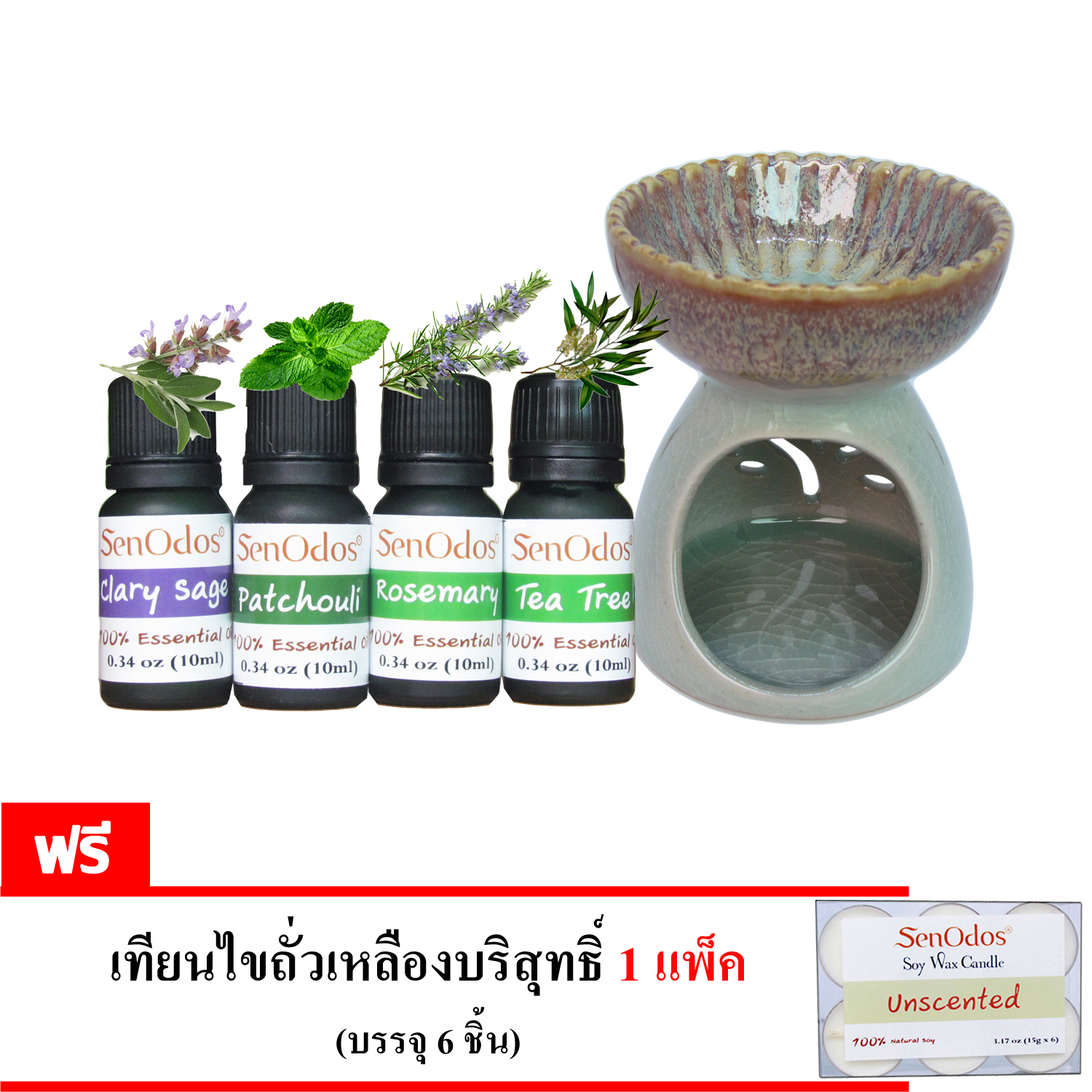 SenOdos ชุดเตาเผา น้ำมันหอมระเหย เซรามิค ศิลาดล สีฟ้าอมเขียว + น้ำมันหอมระเหยแท้ (ชุดกลิ่นหอมดื่มด่ำธรรมชาติ) Essential Oil Earthly Passion Set 10ml x 4กลิ่น (แครี่เสจ,แพทชูลี่,โรสแมรี่และทีทรีออยล์) (Free เทียนทีไลท์ เทียนไขถั่วเหลืองบริสุทธิ์ 15 กรัม 1 