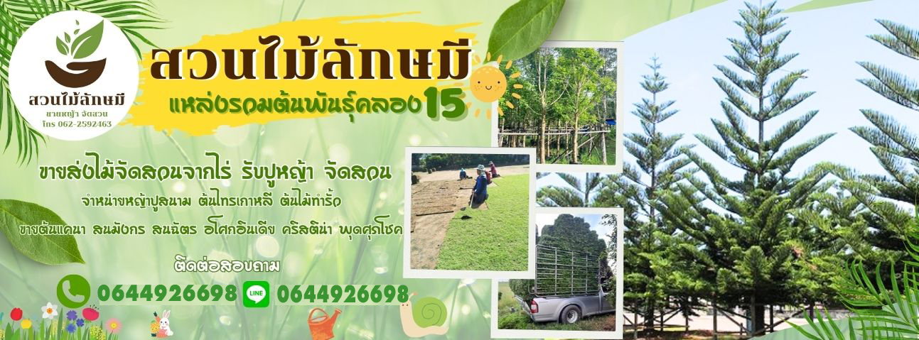 จัดสวนหน้าบ้าน รับปูสนามหญ้า