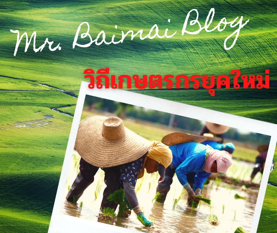 ... รวมเรื่องราวดีๆเพื่อเกษตรกรไทย ... วิถีเกษตรกรยุคใหม่