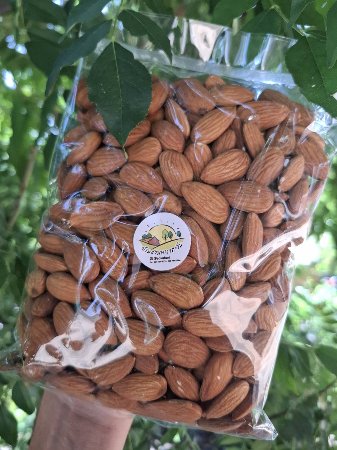 เม็ดอัลม่อนดิบ 1,000 กรัม สุดคุ้ม สินค้าใหม่