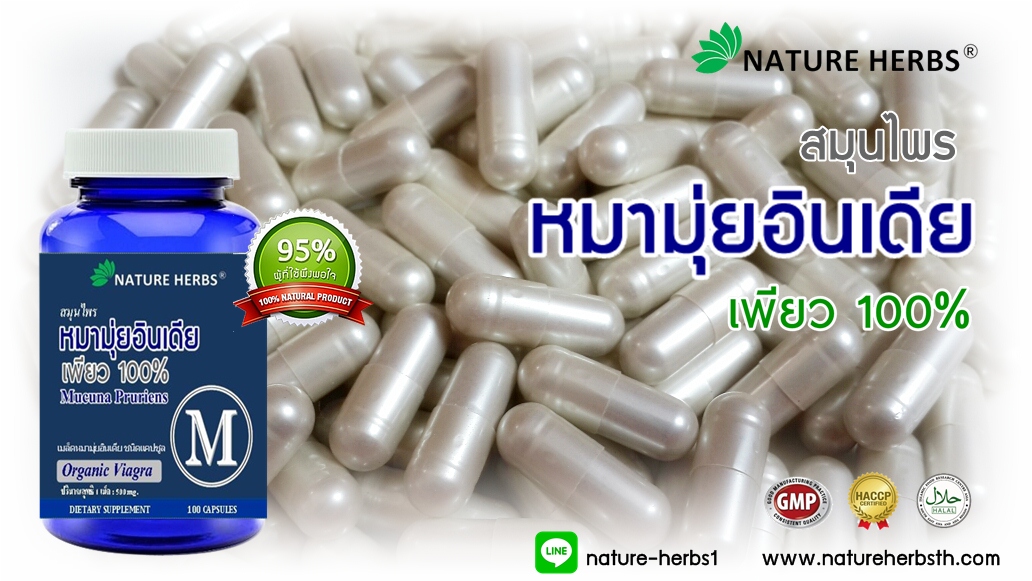 สมุนไพรหมามุ่ยอินเดียแคปซูล 1 ขวด แถม!! หมามุ่ยอินเดีย ขนาด 30 เม็ด 1 ห่อ