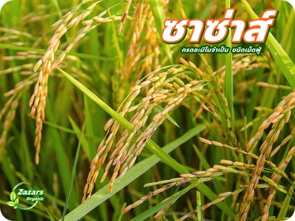 ซาซ่าส์ อะมิโนเข้มข้น ชนิดเม็ดฟู่