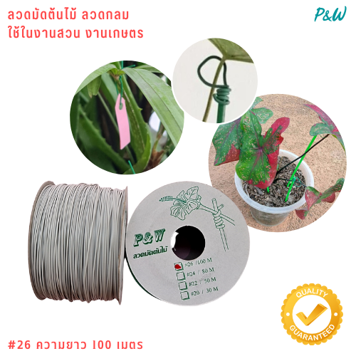 ลวดมัดต้นไม้ ลวดผูกต้นไม้ ลวดขึงสแลน ลวดเพาะชำ ลวดผูกป้าย ลวดบอนไซ ลวดคล้องป้าย ลวดมัดงานเกษตร ลวดลวดมัดสแลน หุ้มแบบกลม-บจก.พลาสติกแอนด์ไวร์โปรดัก WT26-0002