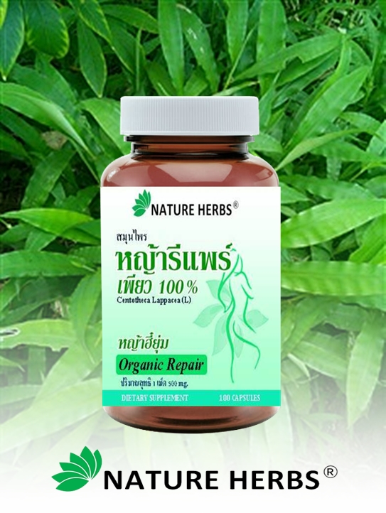 หญ้ารีแพร์ เพียว 100% แคปซูล 100 เม็ด 1 กระปุก แถมฟรี!! ชาสมุนไพรผัวหลง ขนาด 5 ซอง 1 ห่อ