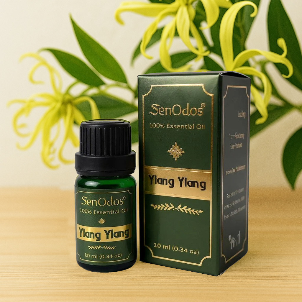 SenOdos Ylang Ylang Pure Essential Oils น้ำมันหอมระเหย แท้ กลิ่นกระดังงา 10ml