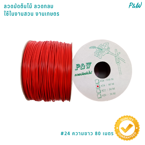 ลวดหุ้มกลม ลวดเคลือบพลาสติกกลม ลวดเคลือบ ลวดมัดต้นไม้ #24/80M สีแดง WT24-005