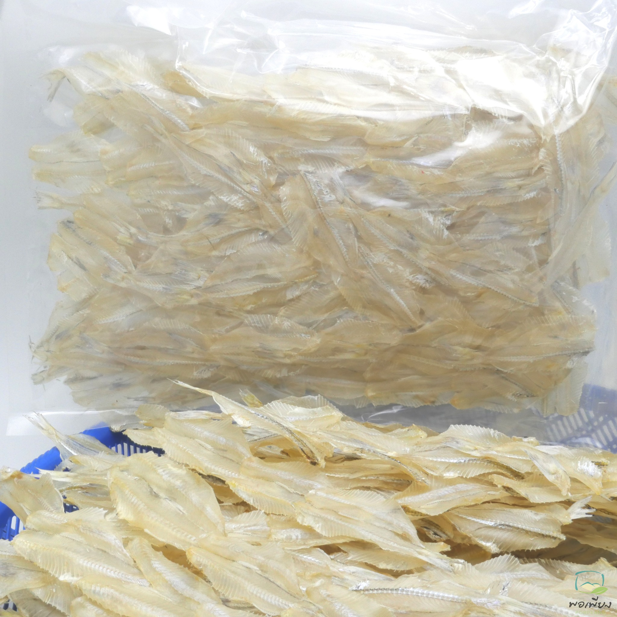 ปลาเกล็ดขาวผ่า ตากแห้ง สั่งทำพิเศษ