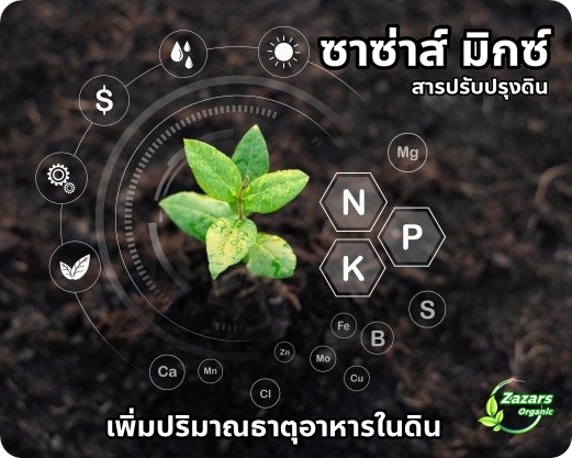 ซาซ่าส์ มิกซ์ (สารปรับปรุงดิน)