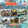 ม่านน้ำตอไม้ โทร 064-5687901 กำแพงน้ำ ม่านน้ำตก ม่านน้ำตกแต่งสวน ม่านน้ำตกแต่งบ้าน ม่านน้ำหินเสียบ ม่านน้ำตกหินกาบ