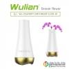 WULIAN Dream flower