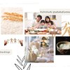 การทานอาหารร่วมกันในครอบครัว