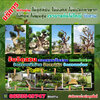 ขายส่งหินจัดสวนโทร 065-3549747 หินแต่งสวน หินจัดสวน หินทำน้ำตก จัดหาหินธรรมชาติ หินกาบ หินมอส หินฟองน้ำ