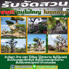 ขายส่งหินกรวด โทร 065-3549747 หินแต่งสวน หินจัดสวน หินทำน้ำตก จัดหาหินธรรมชาติ หินกาบ หินมอส หินฟองน้ำ
