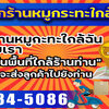 เนื้อย่างเกาหลี โทร 082-9845086 วัตถุดิบหมูกระทะ มองหาแฟรนไชส์ไม่ซ้ำใคร เริ่มง่าย น่าลงทุน กำไรสูง