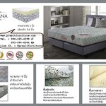 ที่นอนยางอัดเสริมยางพารา รุ่น มอนทานา (MONTANA) ราคาเริ่มต้น