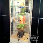 ตู้โชว์ดาวไลท์ ไฟ 2 ดวง ขนาด 80 ซม. 1 ลิ้นชัก รุ่น DL801