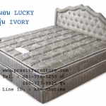 ที่นอนลัคกี้รุ่น "Ivory"