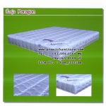 ที่นอนสปริงวีวินเนอร์ รุ่น พารากอน (PARAGON)