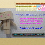 พลาสติกกันกระแทก Air Bubble แบ่งขาย 65 ซม.x 5 เมตร