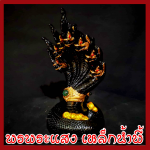 พญานาค 7 เศียร 5" องค์สีดำ เนื้อมวลสารแร่เหล็กน้ำพี้