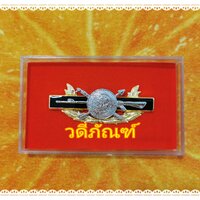 เข็มพิทักษ์สันติ-โลหะชุบโครเมี่ยม/ขาแม่เหล็ก
