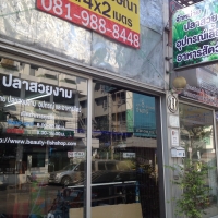 ร้านปลาสวยงาม