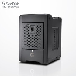 G-RAID SHUTTLE 4 (SDPH34H) Enterprise-class 4-bay External Hard Drive; Thunderbolt3 and USB-C; hardware RAID; up to 1000MB/s read SanDisk Professional