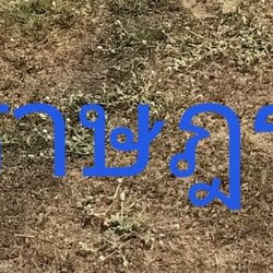 รถดูดส้วมราษฎร์บูรณะ