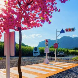 จัดสวน จุดเช็คอิน พร๊อพถ่ายรูป