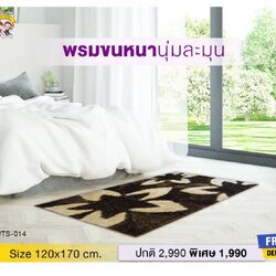 พรมแต่งห้อง ขนฟูสวยสะดุดตา ลายWTS014 สีน้ำตาล warm tone ขนาด 1.20×1.70m.