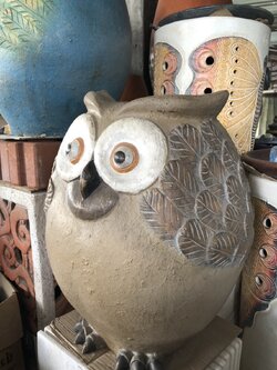 ฮ นกฮูกตาโต