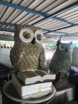 นกฮูกนักอ่าน