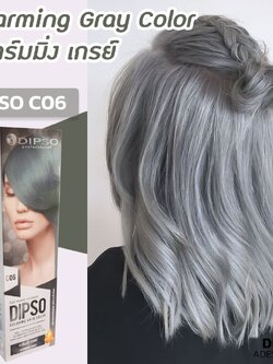 Dipso Colorme Hair Color #C06 Charming Gray ดิ๊พโซ่ คัลเลอร์มี แฮร์ คัลเลอร์ สูตรปราศจากแอมโมเนีย ขนาด 110 กรัม C06 – ชาร์มมิ่ง เกรย์ (สีเทา)