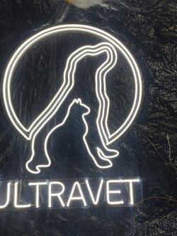 ไฟนีออน เฟค