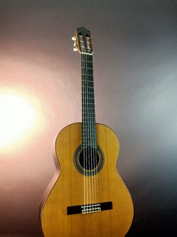 Altarmira model N500+