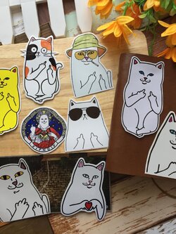 แมวกวน สติกเกอร์ เคลือบกันน้ำ ติดกระเป๋าเดินทาง มอเตอร์ไซค์ Laptop เคสโทรศัพท์ กระบอกน้ำ Waterproof Decal Sticker