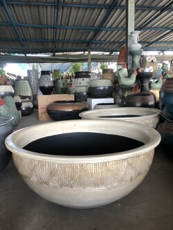 อ่างติดใบบัว