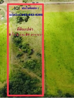 ขายที่ดิน วิวภูเขา เนื้อที่ 5ไร่ 2 งาน 81 ตารางวา ฮวงจุ้ยมังกรหลังพิงเขา