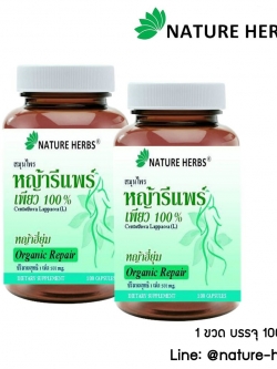 หญ้ารีแพร์ เพียว 100% แคปซูล 100 เม็ด 2 กระปุก แถมฟรี!! ชาสมุนไพรผัวหลง ขนาด 5 ซอง 1 ห่อ