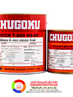 สีชูโกกุ อิพิคอน ที-800 เอชเอส-จีเอฟ CHUGOKU EPICON T-800 HS-GF