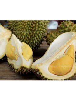 #ต้นทุเรียน #ทุเรียนหลินลับแล #ทุเรียนหลงลับแล😋 เนื้ออร่อยฟินสุดๆ