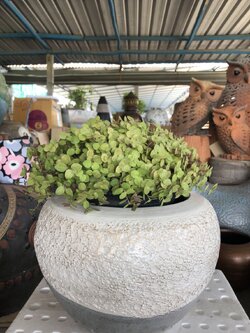 กระถางทรงกลมเล็ก